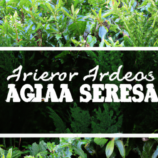 SEO para negocios de jardinería y paisajismo: Atrae más clientes